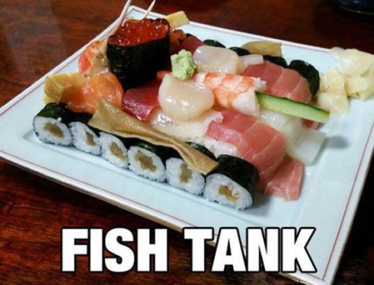 military-humor-fish-tank-sushi
